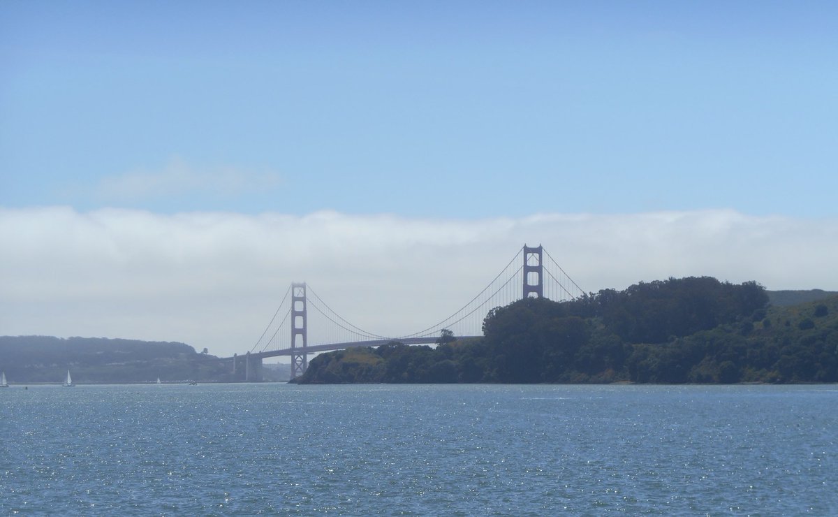 oliviazhg's tweet image. SF you are so beautiful &amp;lt;33