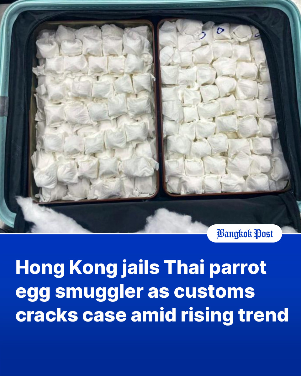 Bangkok Post tweet media