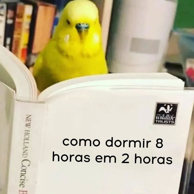 TerrorCotidiano's tweet photo. https://t.co/gBpwuK3yes