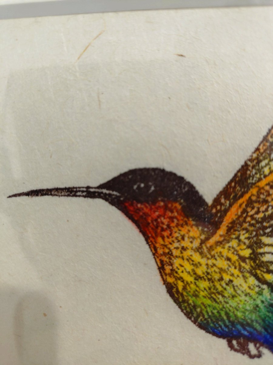 2025.5/19(月)曇り
『羽ばたけ』
鳥の目　作家の目線、個性おもしろいね✨