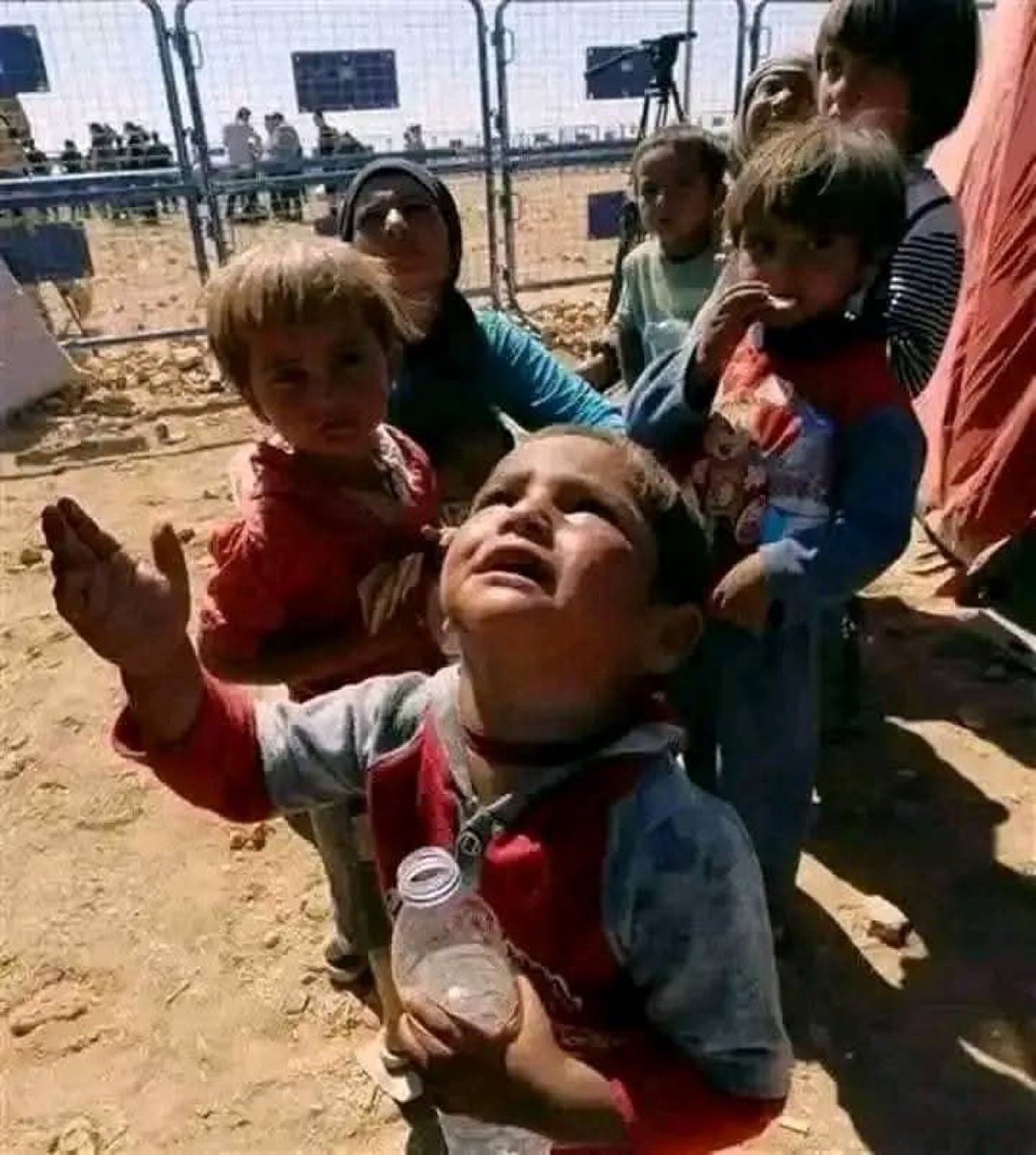Dr.Motaz🍉🇵🇸 tweet media