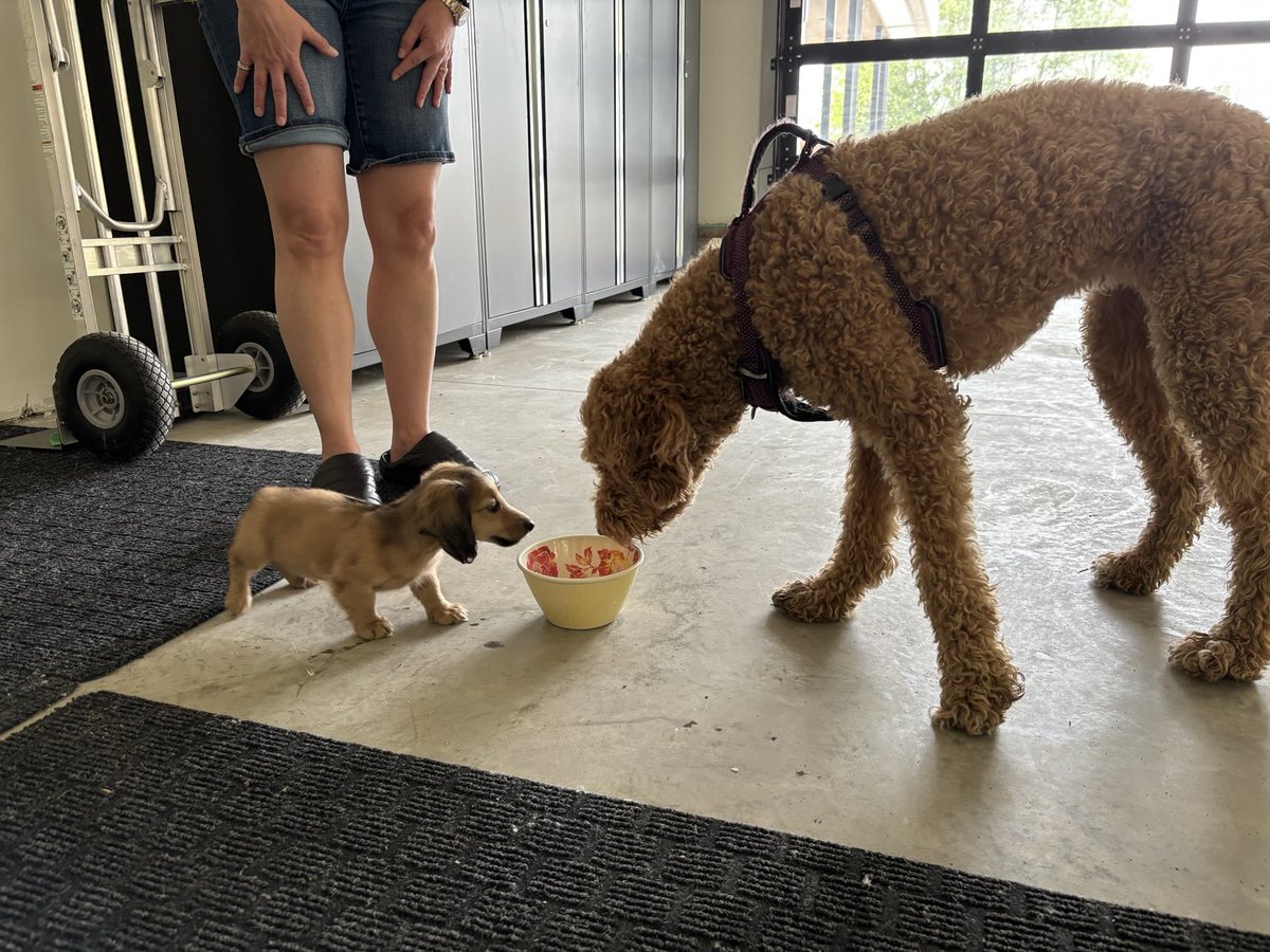 The cousins met tonight 😂😂