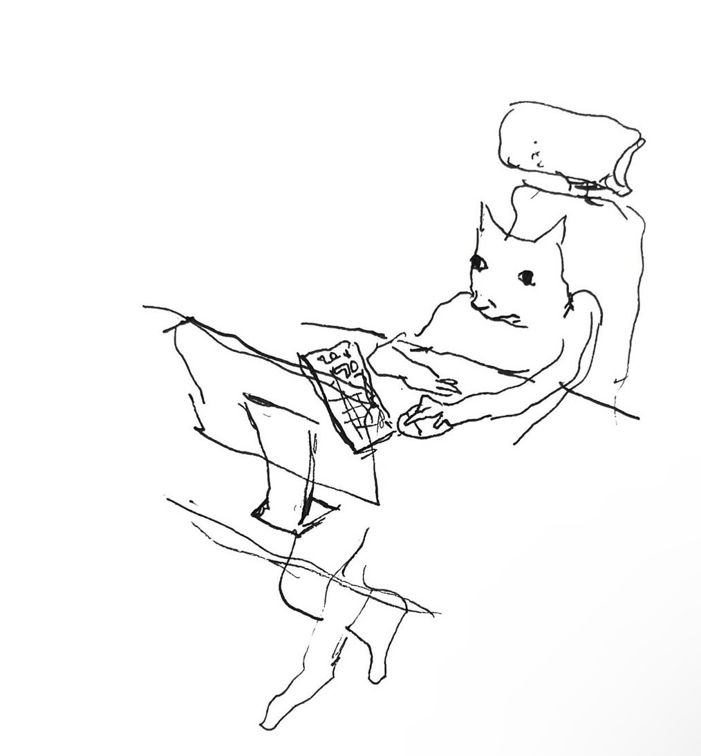 Corey (@sharkshank1) on Twitter photo 