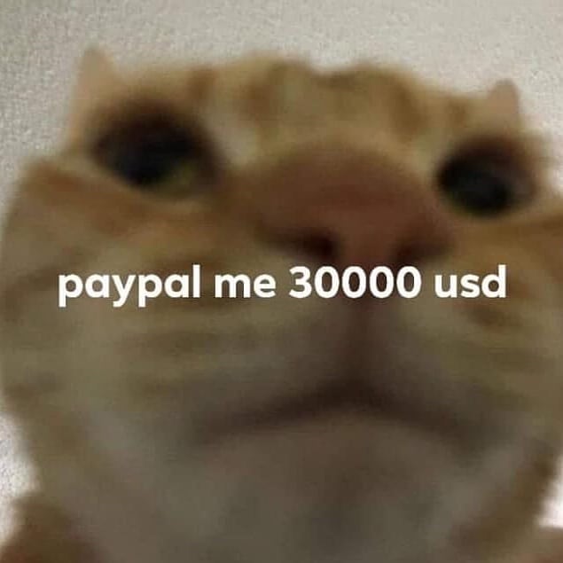 PunchingCat's tweet photo. https://t.co/FZYk6e4NLk