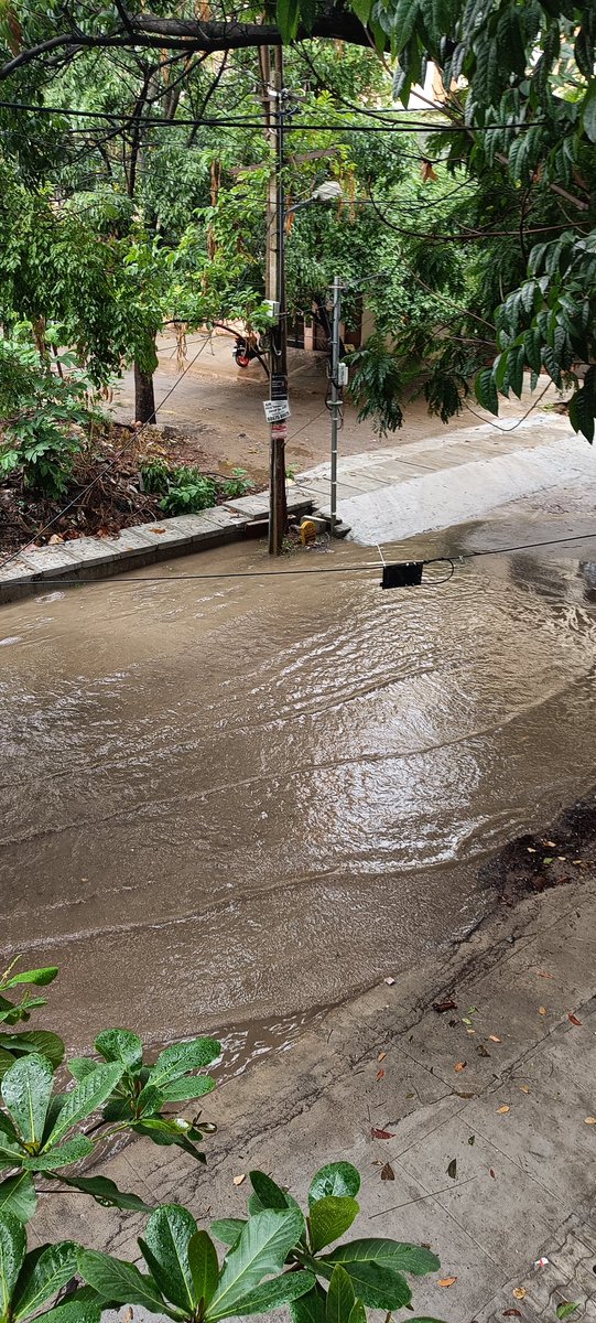 pixelputra's tweet photo. This is the situation of yesterday's rain in HSR sector 7. Apr 25, the roads were freshly dug on each side to implement new water drainage. What use is the drain if there is no way for water to recede??
@ICCCBengaluru @osd_cmkarnataka @swaccha_bbmp @BBMPCOMM @CMofKarnataka https://t.co/7S6uwZ3ADV