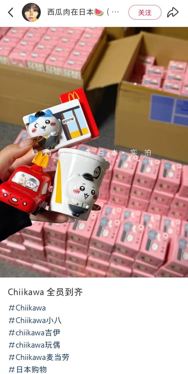 福岡で中国人「ちいかわ全員集合」。この転売担当の中国人は全種類を買い揃えた。