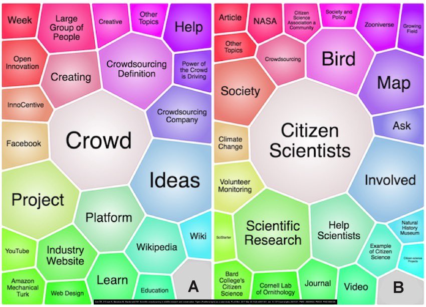 Roy Mitsuoka tweet media