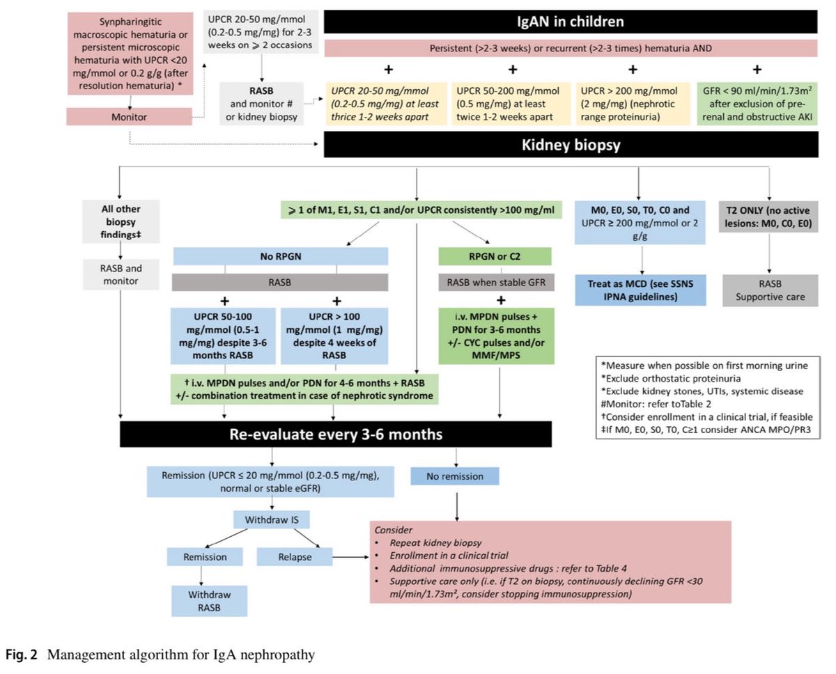 hardik4u24's tweet photo. 👶 Pediatric IgA nephropathy  &amp; IgA vasculitis nephritis—2 faces of the same IgA storm!

💡Must-see updated IPNA 2025 guidelines 🫘

🎯 Practical, visual, evidence-based 📚

🔗https://t.co/ZJxdXYV4Zc

#MedTwitter  #PedsNeph #FOAMed #IgAN #IgAV #Guidelines #Pediatrics #Nephrology https://t.co/db57YtosOM