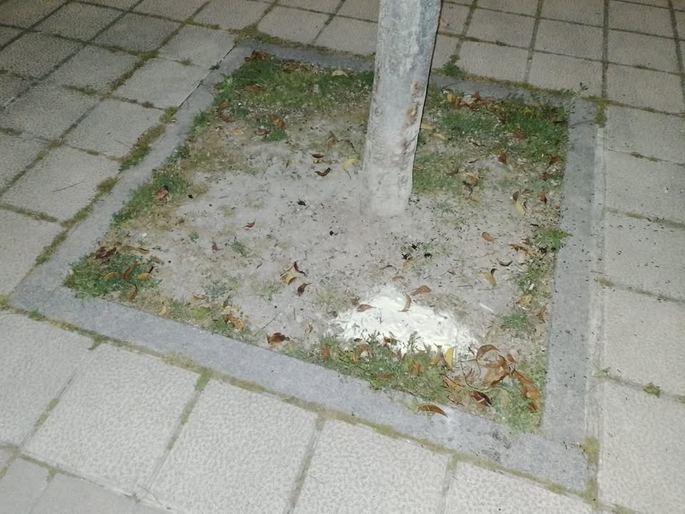 Extremad la precaución con los niños y vuestras mascotas. Un vecino ha detectado un polvo extraño en los arboles de la calle Universo a la altura nº8, lo han retirado, pero por si es intencionado y vuelve a repetirse tened cuidado.