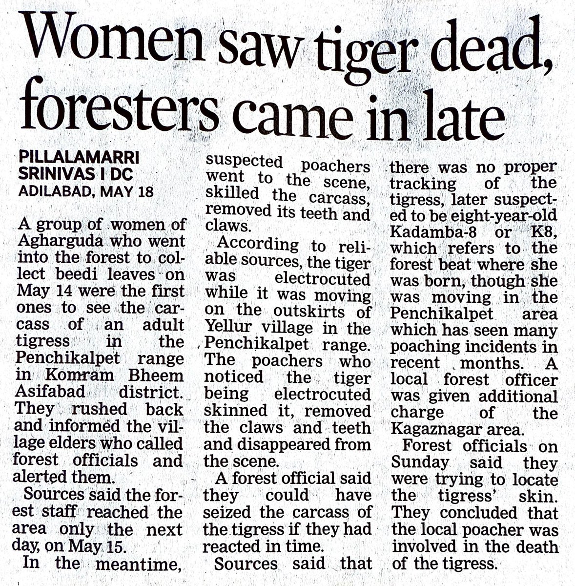 Vata Foundation (@vata_foundation) on Twitter photo Heartening to read.. brings up the questions.. hoping this issue wont be buried quietly <a href="/Suvarnach5/">Suvarnaifs</a> Ma’am..
1. What more can a concerned citizen do apart from bringing it to the department’s notice?
2. What more should an <a href="/moefcc/">MoEF&CC</a> <a href="/HarithaHaram/">Telangana Forest Dept.</a> official do?
#tiger #Tigers Heartening to read.. brings up the questions.. hoping this issue wont be buried quietly <a href="/Suvarnach5/">Suvarnaifs</a> Ma’am..
1. What more can a concerned citizen do apart from bringing it to the department’s notice?
2. What more should an <a href="/moefcc/">MoEF&CC</a> <a href="/HarithaHaram/">Telangana Forest Dept.</a> official do?
#tiger #Tigers