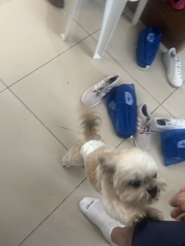 🇵🇭
