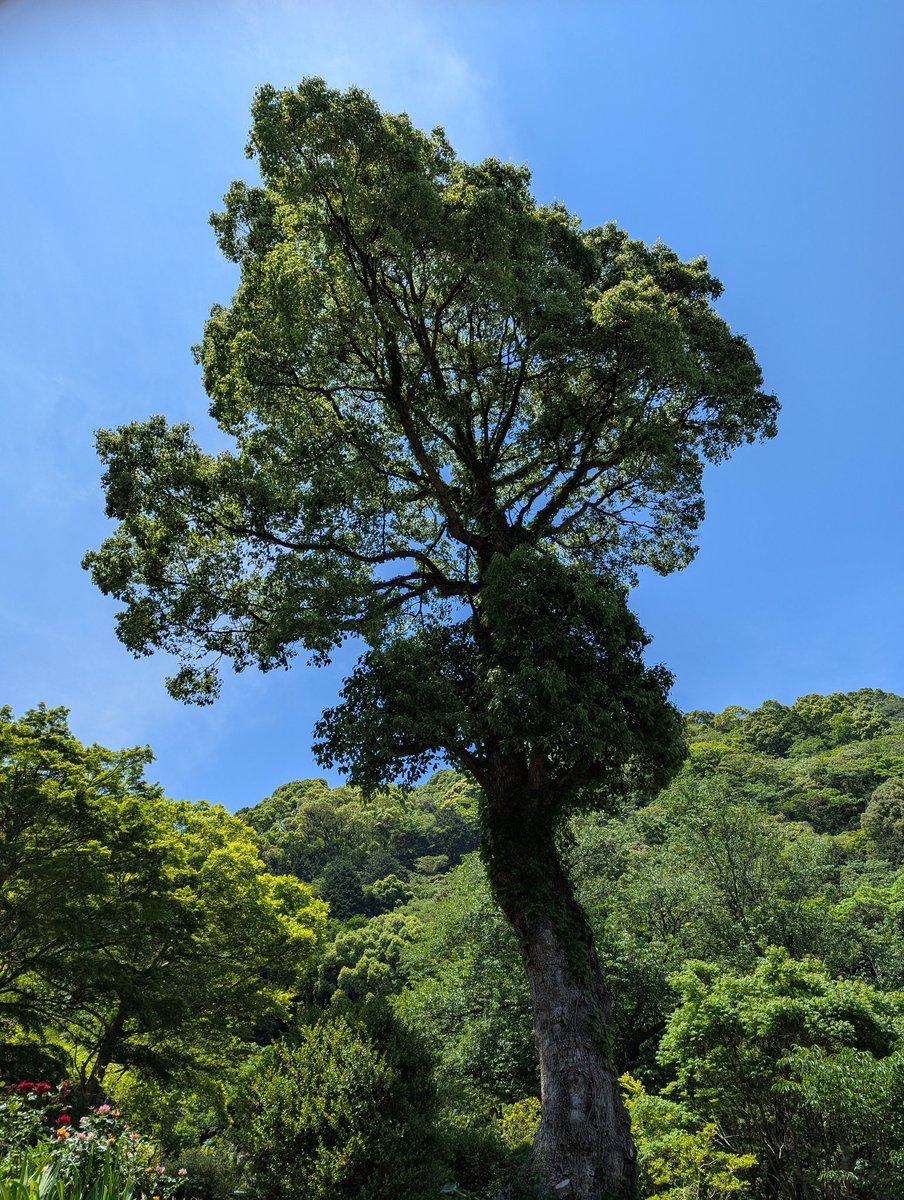 直感が優れていたり
目に見えないもの
(霊じゃなくて)や
そういう事を話す人を
ヤバイとか危ないとか
心配する家族や友人
だからブログや
SNSはリアルな人に
教えない
理解してもらおうと思わない
目に見えないものは
周りに山ほどあるのに
人の心も見えないもの
私は自分の感覚を信じる