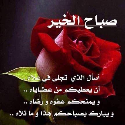 محمد منصور (@mmansourf16) on Twitter photo 
