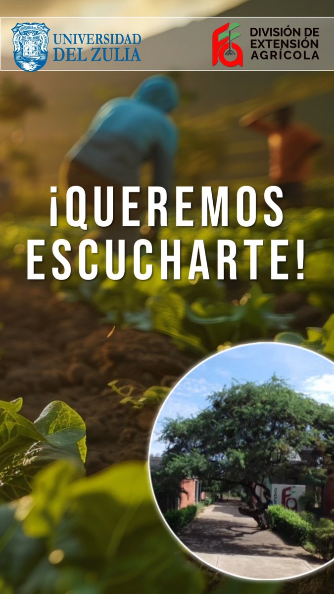 Desde la dea_fagroLUZ, estamos diseñando talleres, cursos y diplomados pensados para ti y para el campo venezolano. Participa en nuestra encuesta y ayúdanos a conocer tus intereses

📝 ¡Responde aquí! 👇 forms.gle/wKEMDewT4PuWd4…