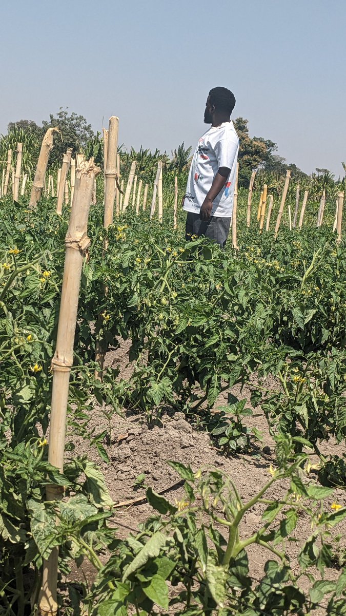 TichaMandevu's tweet photo. Morning familia yangu. Hakuna mafanikio bila kua mtu wa kujaribu mambo magumu 🔥. https://t.co/ZgjsvCuz74