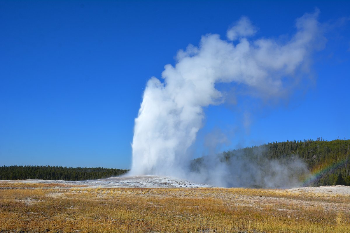 explorewithrene's tweet image. Our results start within.
The energy we bring in shapes what we take out.
Shift your mindset. Shift your outcome.
🟡 Read more 👉 explorewithrene.com/our-results-st…
#MindsetMatters #GrowthMindset #PersonalDevelopment #SelfLeadership #ExploreWithRene