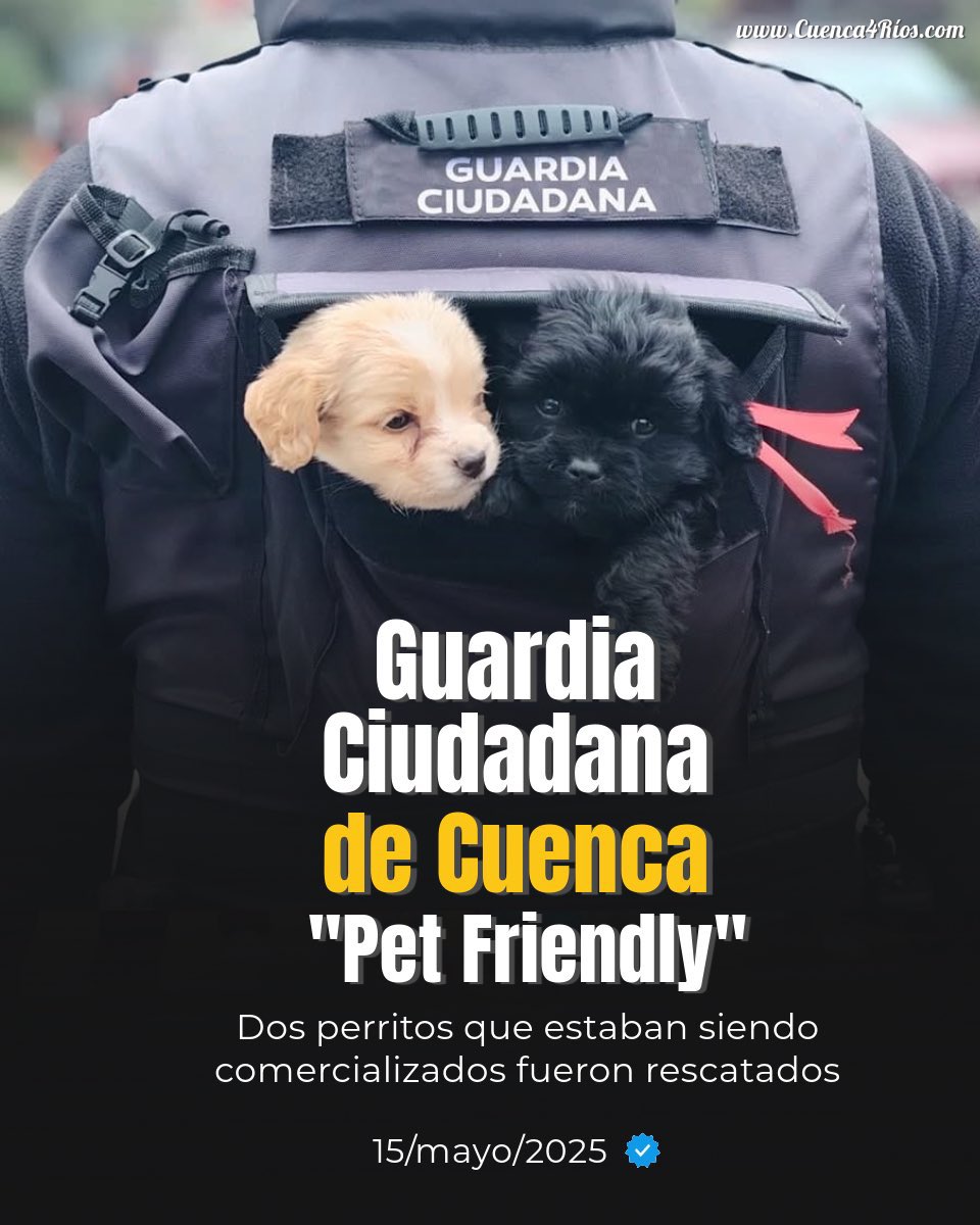 karolpaisa20 (@karolpaisa20) on Twitter photo "¡Felicitaciones por el arduo! La Guardia Ciudadana de Cuenca hace un trabajo excepcional en mantener el orden y la seguridad en la ciudad. Su dedicación y profesionalismo merecen reconocimiento y felicitaciones." <a href="/GuardiaCuenca/">GuardiaCiudadanaCue</a> #OrdenControlSeguridad 👏🏻👏🏻👏🏻❤️✊🏻💛 "¡Felicitaciones por el arduo! La Guardia Ciudadana de Cuenca hace un trabajo excepcional en mantener el orden y la seguridad en la ciudad. Su dedicación y profesionalismo merecen reconocimiento y felicitaciones." <a href="/GuardiaCuenca/">GuardiaCiudadanaCue</a> #OrdenControlSeguridad 👏🏻👏🏻👏🏻❤️✊🏻💛
