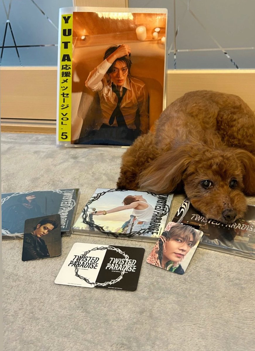 sukinayuta's tweet photo. 250519 #YUTA #悠太 #유타 instastory

(the second pic when yuta mentioned rapu-chan making that "not again" face 😂😂😂) https://t.co/lOOGE8QilL