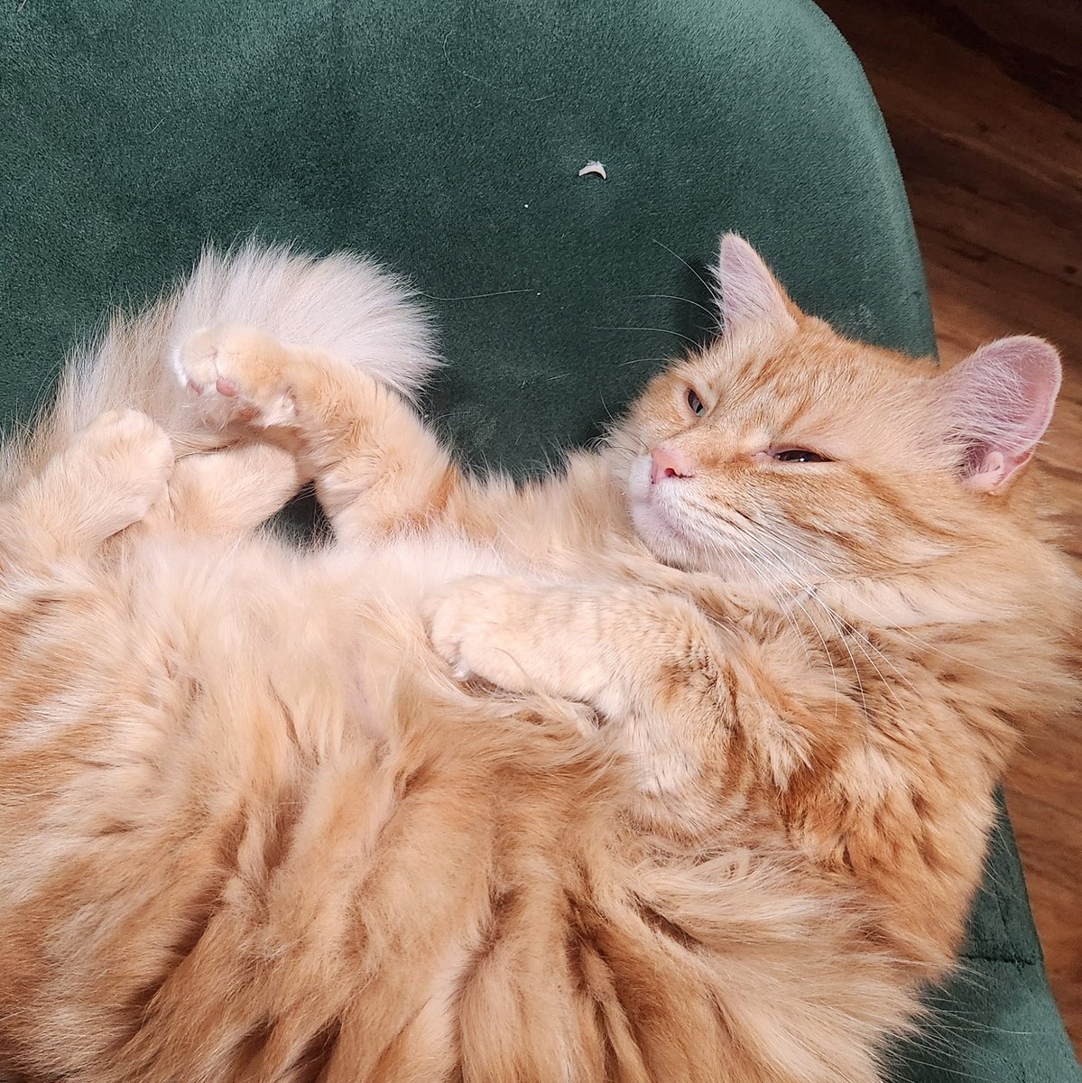 FUZZYORANGEGIRL's tweet photo. Noodol got REMEMBORDT ! https://t.co/KZ0iWUYB8N