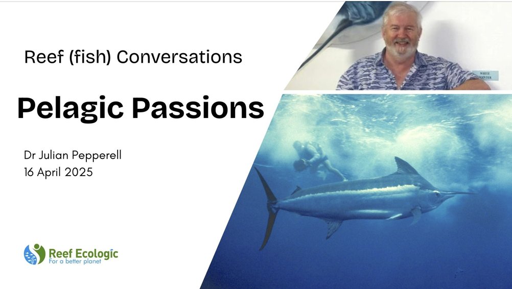 Fishy presentation - hear about a life changing moment with Dr Julian Pepperell for Reef Conversations 4 - Pelagic Passions youtu.be/xQKHGXmS8CI?si… #fish #fishing #Marlin