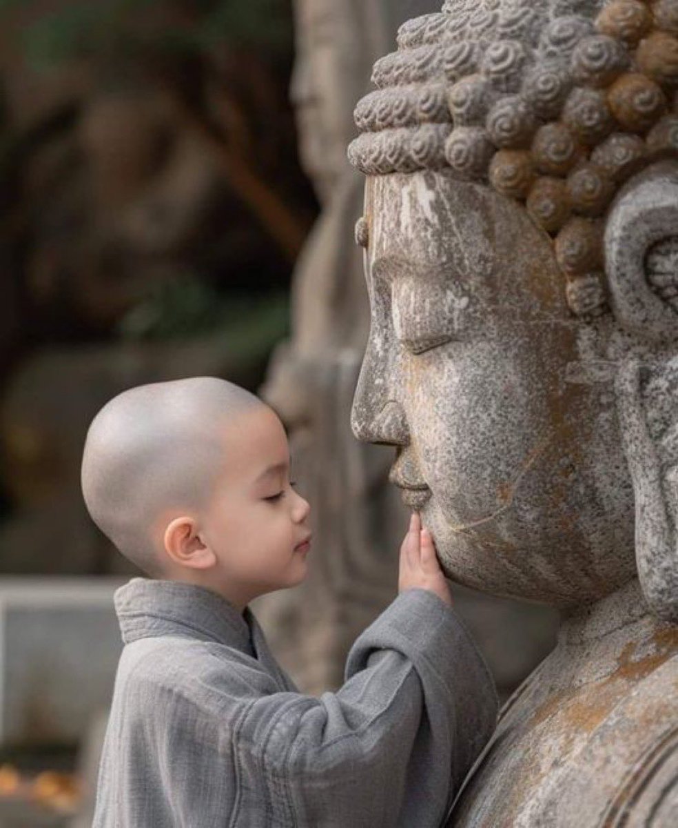Buddha141956's tweet photo. The Eightfold Path-Right Speech  (also called Sammā Vācā in Pali) ☸️—A thread 🧵
 #Buddha #Buddhism #EightfoldPath #RightSpeech https://t.co/bTUgHFJeRg