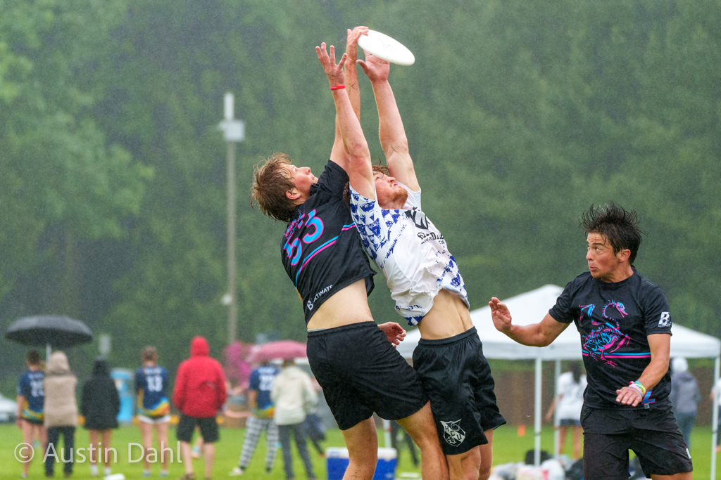 Austin Dahl tweet media