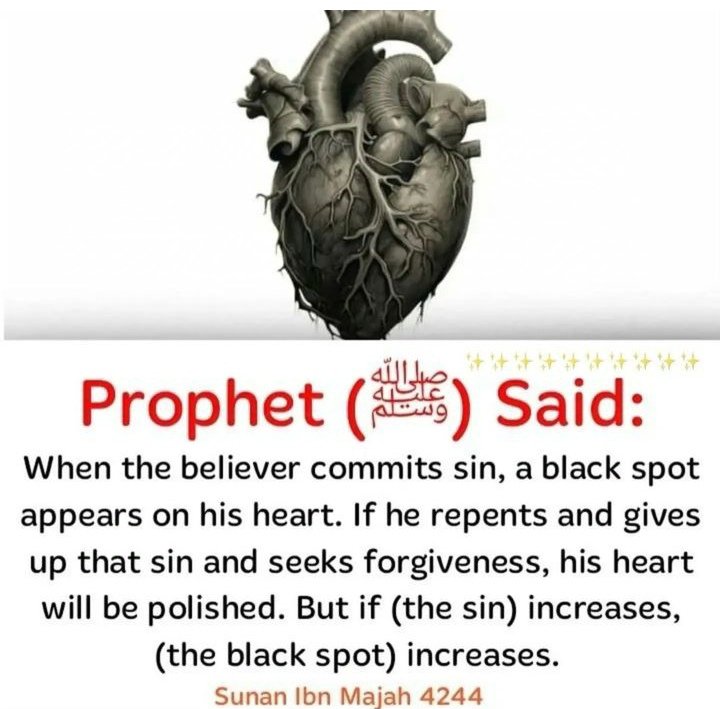 salahudeen33's tweet photo. Hadiths of the day https://t.co/zWe251TPfj