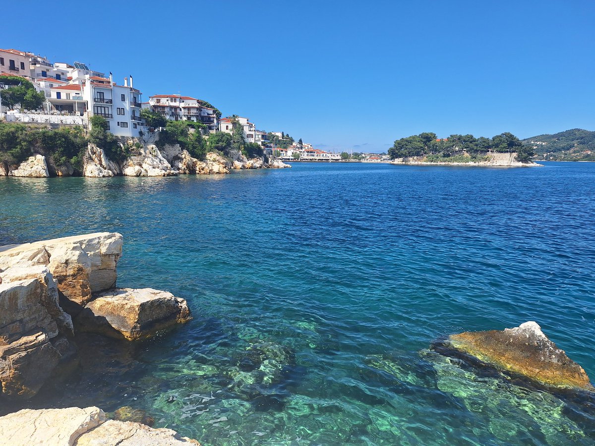 Day 3 in Skiathos, Greece.
Trip into Skiathos town.

2 more added to the list total now at 35 species.

1 Common Buzzard, 3 Sardinian warbler, 1 Night heron, 1 Grey heron, 2 Eleonora's falcon.
Also a Black Swan.
