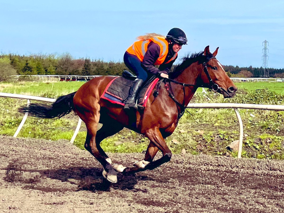 Jim Goldie Racing (@jimgoldieracing) on Twitter photo We’re <a href="/CarlisleRaces/">Carlisle Racecourse</a> today with 3 runners! Water Of Leith, <a href="/jimmyfyffe/">jimmy fyffe</a>’s Mostar Dream & recent <a href="/MusselburghRace/">Musselburgh Racecourse</a> winner Trojan Sun(pictured), <a href="/PMulrennan/">Paul Mulrennan</a> rides! We’re <a href="/CarlisleRaces/">Carlisle Racecourse</a> today with 3 runners! Water Of Leith, <a href="/jimmyfyffe/">jimmy fyffe</a>’s Mostar Dream & recent <a href="/MusselburghRace/">Musselburgh Racecourse</a> winner Trojan Sun(pictured), <a href="/PMulrennan/">Paul Mulrennan</a> rides!