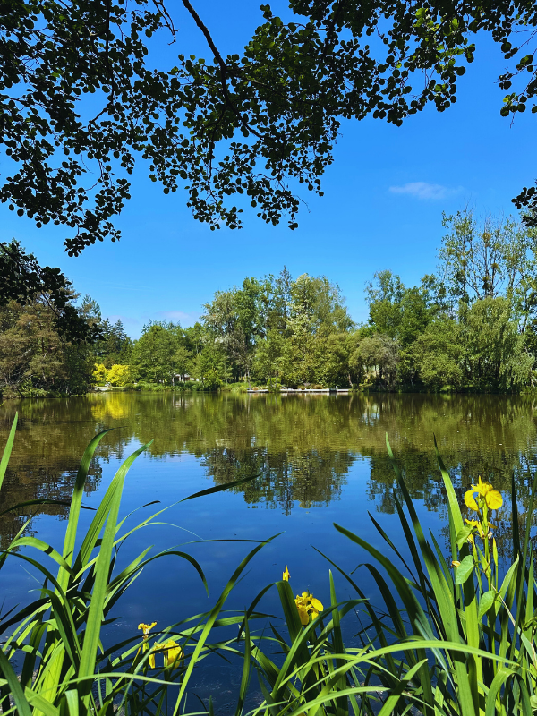 BeausoleilCarp's tweet photo. 💎 The lake looks absolutely amazing right now but what I'm really interested in is what is going on under the surface. The oxygen levels are 30% higher than last year 💪 with more stable oxygen levels 24/7 and no noisy aerators. It's a new era ✨
https://t.co/WjIQQkB6Mv https://t.co/1xnuI60N8Z