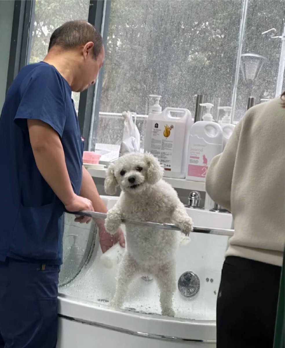 お前、あとで覚えてろよ