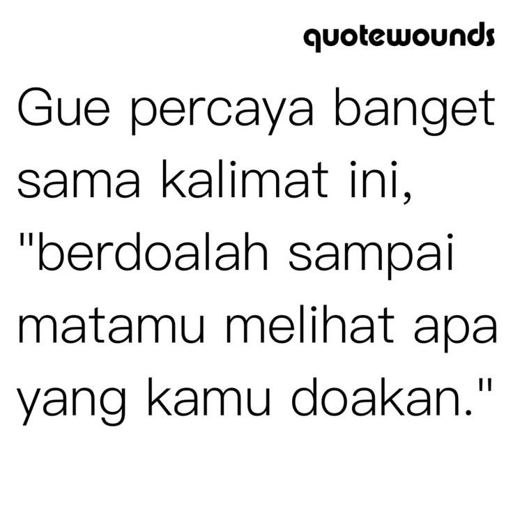 - (@_catflowers) on Twitter photo 