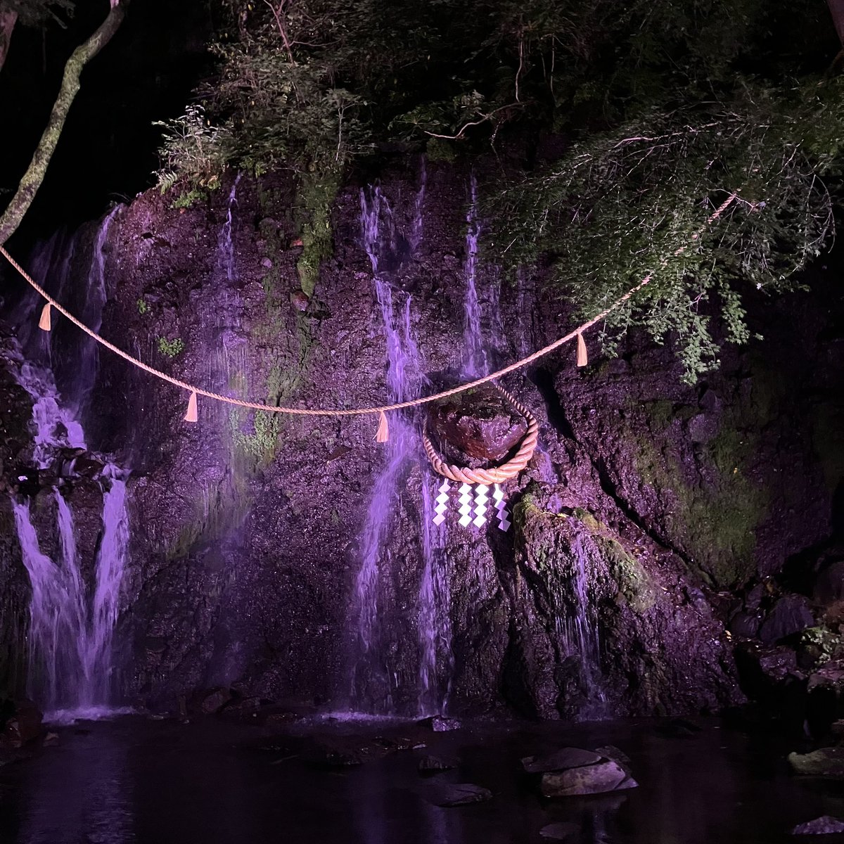 今更ながら何故か卒業旅行に連れてってもらい、食べ過ぎてまだ苦しい〜😅
泊まったホテルにある玉簾神社と翌日は箱根神社へ⛩
パワースポットのお裾分け✨
パワー💪