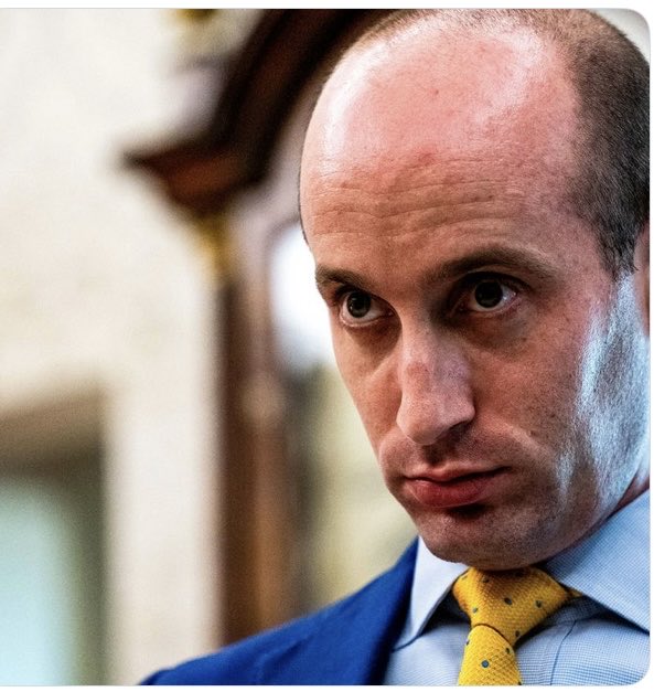 Suzierizzo1's tweet image. What’s the first thought that pops into your head when you see Stephen Miller? 😡😡