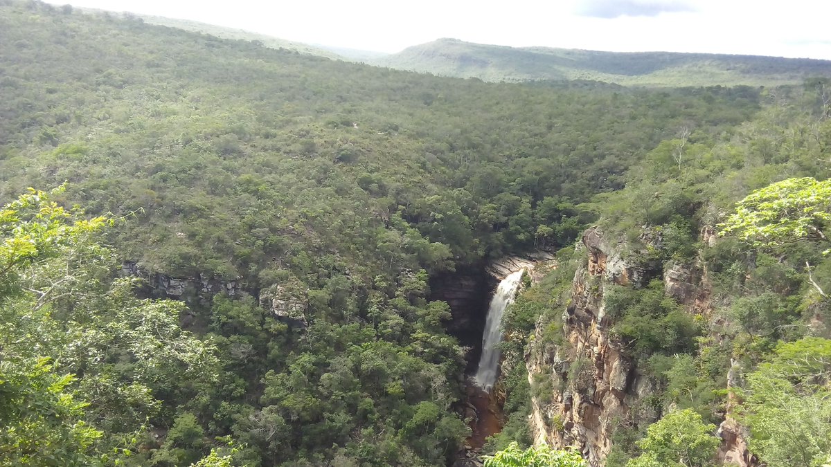 Amaranta (@amarantapico) on Twitter photo 