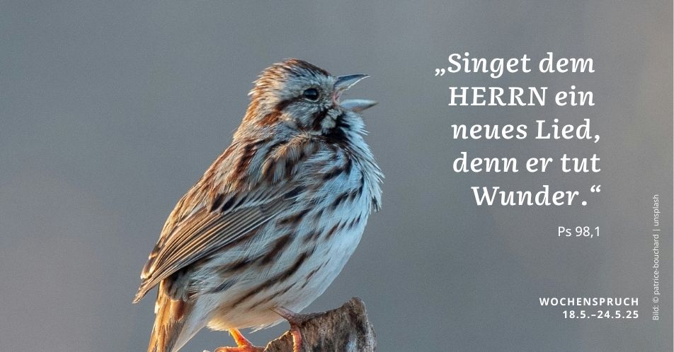kirchehannovers's tweet photo. Wer singt, betet doppelt. Wir wünschen Euch eine musikalische Woche! 🙏🎶
"Singet dem HERRN ein neues Lied, denn er tut Wunder." | Ps 98,1
#Wochenspruch #Kantate #Bibel #NeueWoche #Montag https://t.co/HQQJWyOdIr
