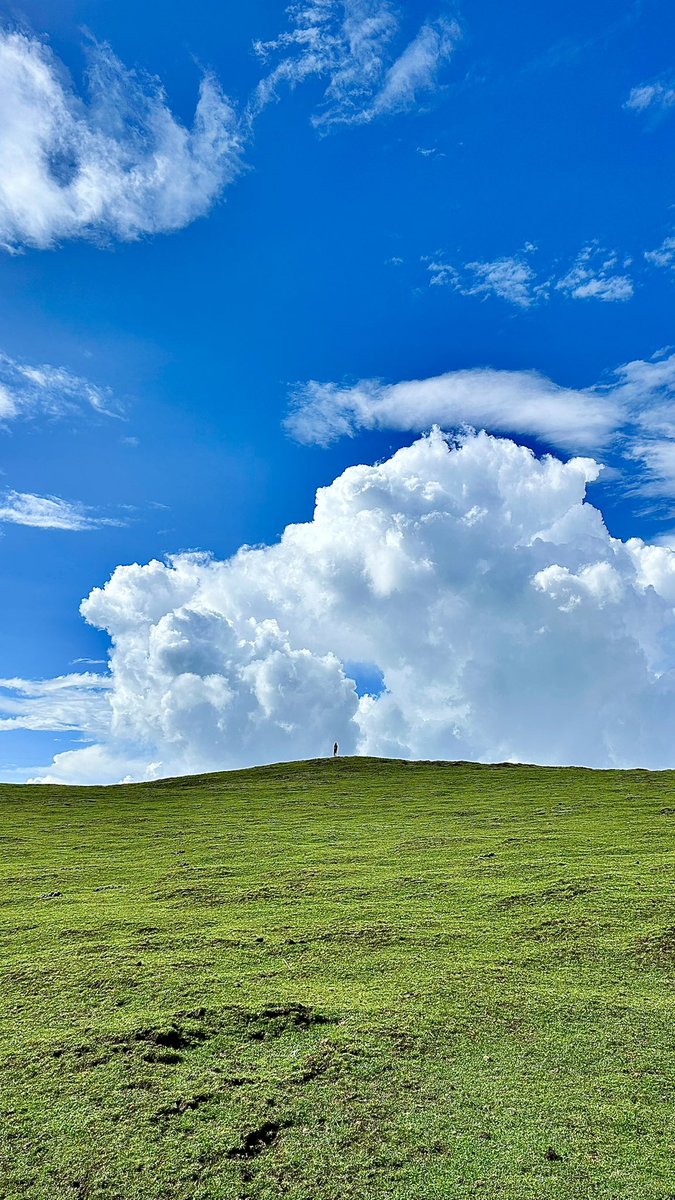 Have a bright week 🍃