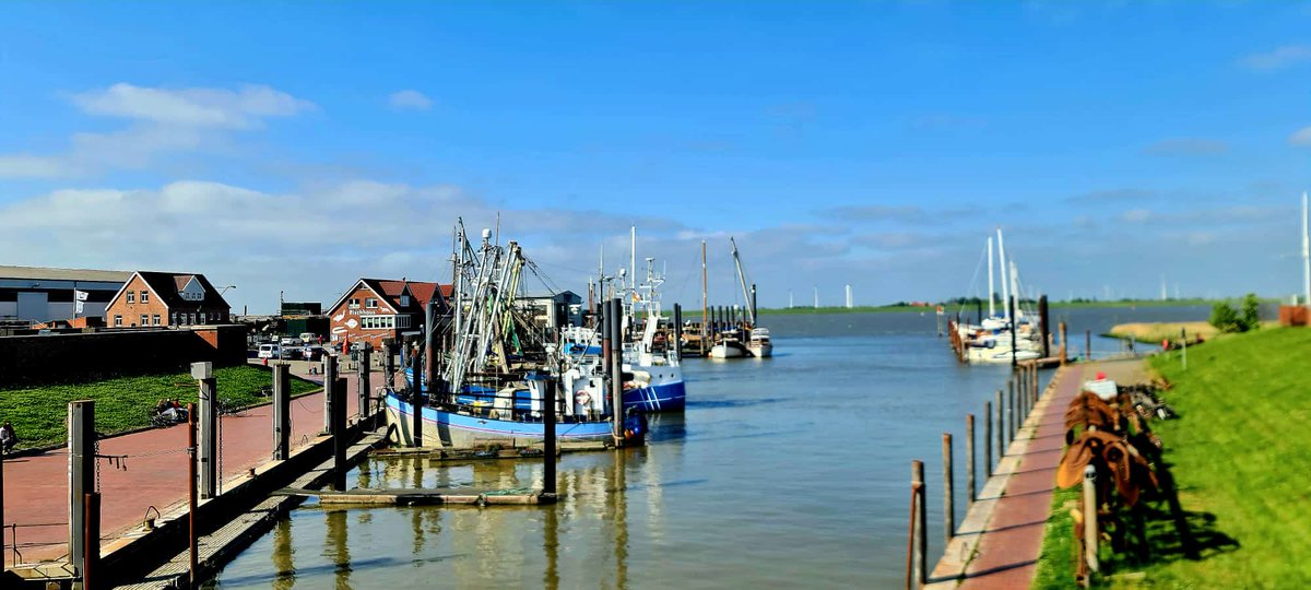 swimmer84189399's tweet photo. Fishing village #Ditzum #EastFrisia #Germany 🌊⛵️🎑😍 https://t.co/iRX922wAKl
