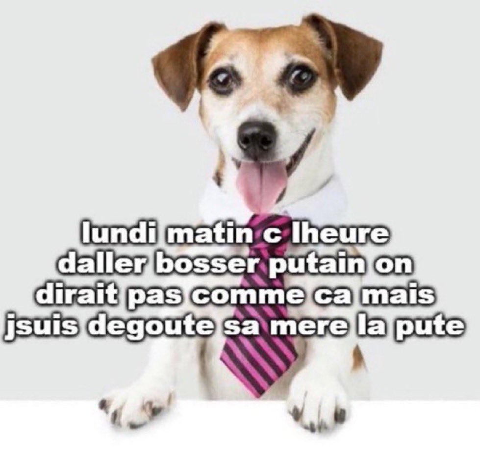 eloane ౨ৎ tweet media