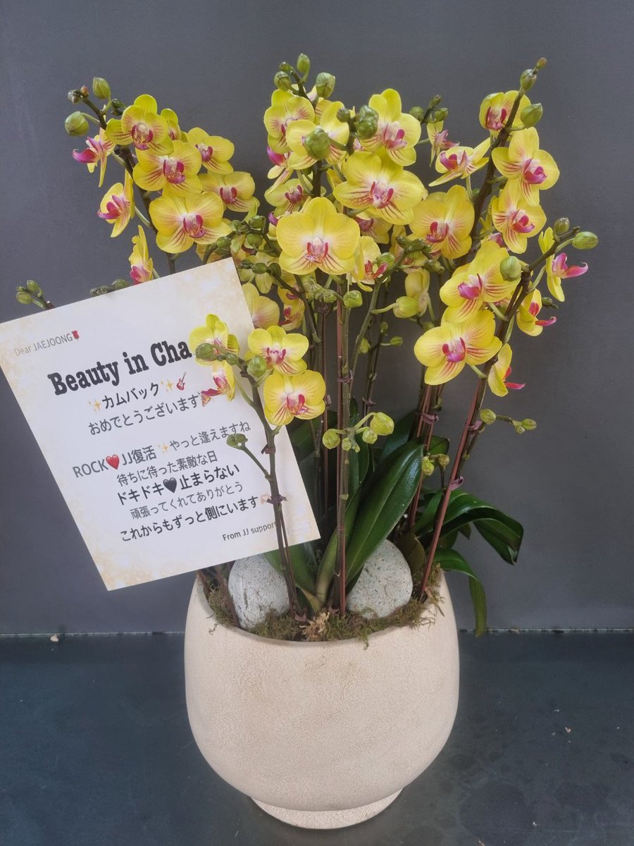 ジェジュンさんにお花💐お届けしました。

🌹𝐉𝐉 𝐄𝐏 𝐀𝐥𝐛𝐮𝐦 "𝐁𝐞𝐚𝐮𝐭𝐲 𝐢𝐧 𝐂𝐡𝐚𝐨𝐬" 𝒓𝒆𝒍𝒆𝒂𝒔𝒆
🌹𝐉𝐉 𝐀𝐒𝐈𝐀 𝐓𝐎𝐔𝐑 𝐂𝐎𝐍𝐂𝐄𝐑𝐓 "𝐁𝐞𝐚𝐮𝐭𝐲 𝐢𝐧 𝐂𝐡𝐚𝐨𝐬" 𝐈𝐍 𝐒𝐄𝐎𝐔𝐋

#김재중 #KIMJAEJOONG #ジェジュン #金在中 #Beauty_in_Chaos