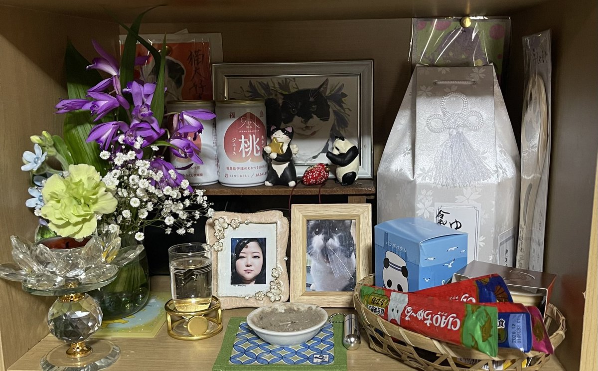 chobi-roo tweet media