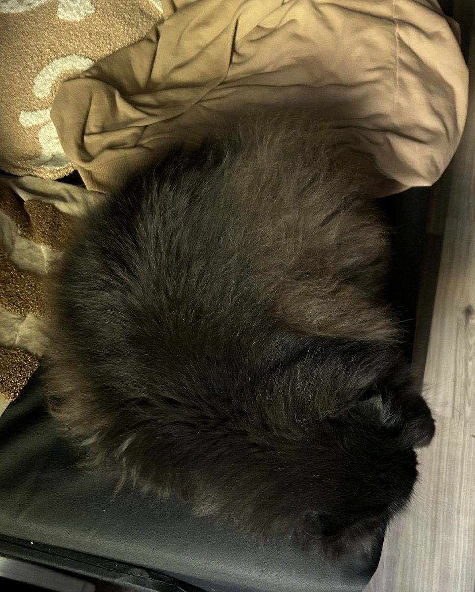 MarkOnNear's tweet photo. Morning humans

Feels the start of the week?

$MARK on NEAR: mark.aidols.near https://t.co/OwcGnC9sN1