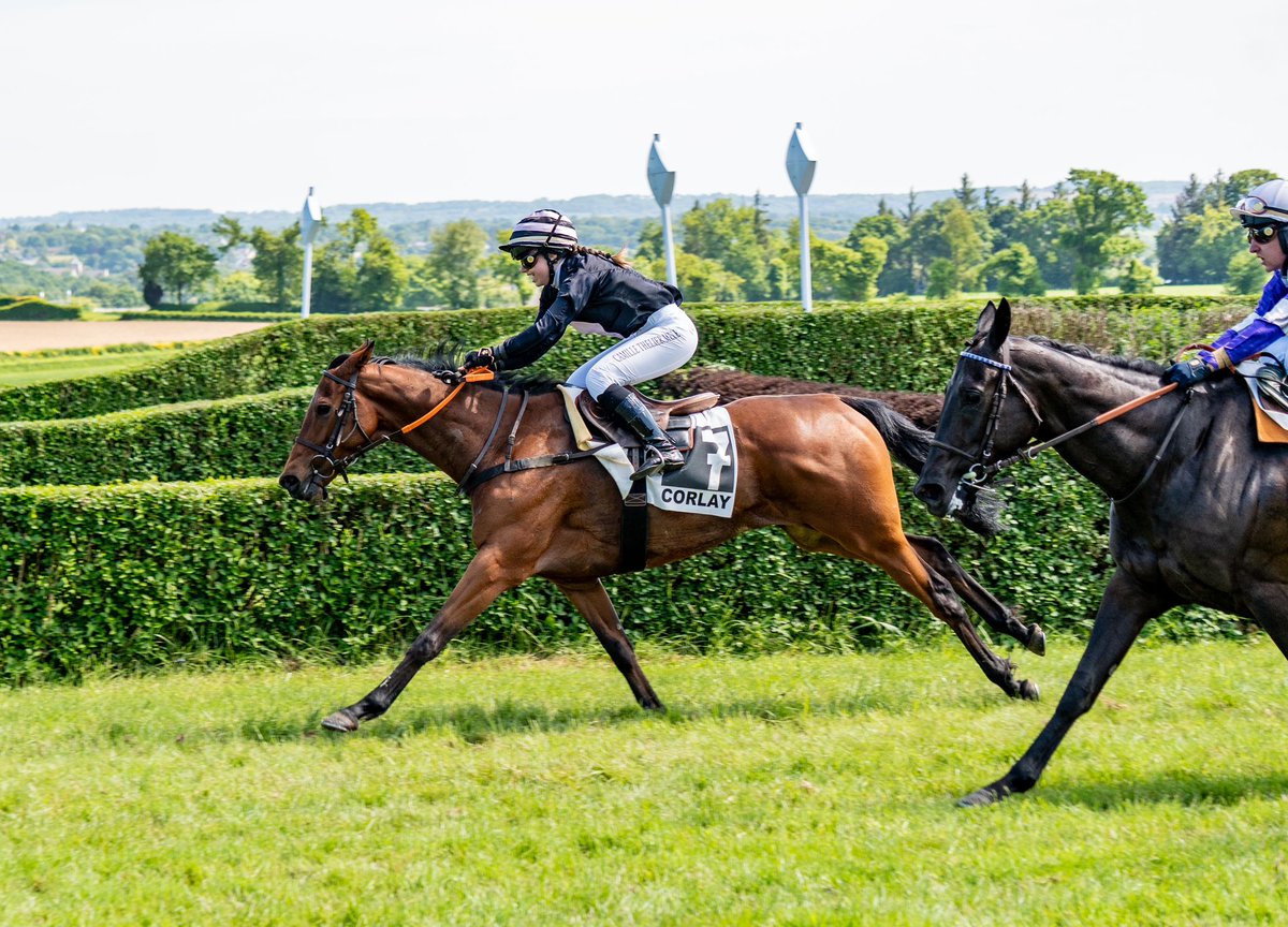 BaillyRom's tweet photo. New victory yesterday for Karamelo 🥇
Second affiliate win for the son of our beautiful Diablesse Royale 🤩
📸 @ascomgoagency https://t.co/qOLrOGWSm3