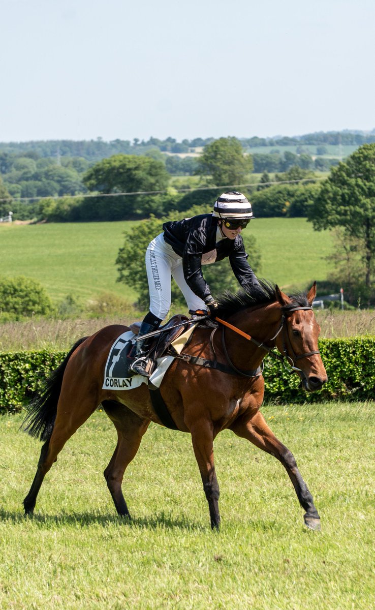 New victory yesterday for Karamelo 🥇
Second affiliate win for the son of our beautiful Diablesse Royale 🤩
📸 <a href="/ascomgoagency/">ASCOMGO</a>