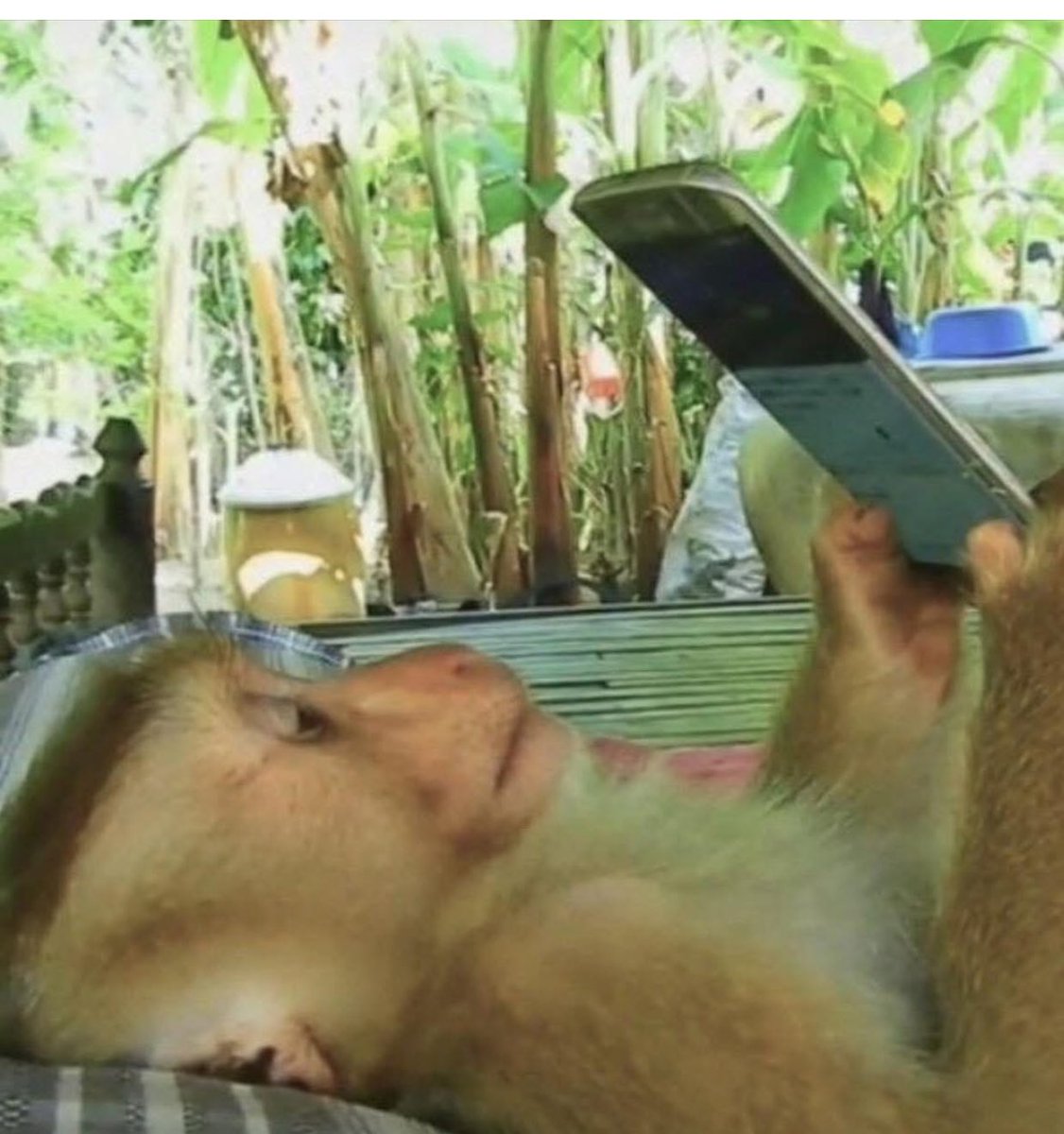 TheshadowPlus's tweet image. When she ask for a favor in the morning and now you gotta be offline the whole day😭😭😭