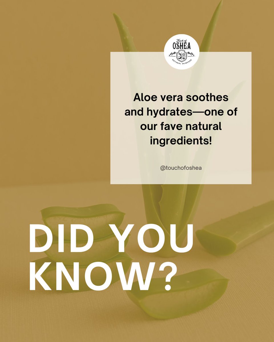 touchofoshea's tweet photo. Did you know?

Aloe vera is a superstar when it comes to soothing and hydrating your skin! This gentle plant extract is packed with vitamins, enzymes, and antioxidants that help calm irritation, lock in moisture, and leave your skin feeling refreshed.

#AloeVera #TouchOfOShea https://t.co/dOEFnMlDTd