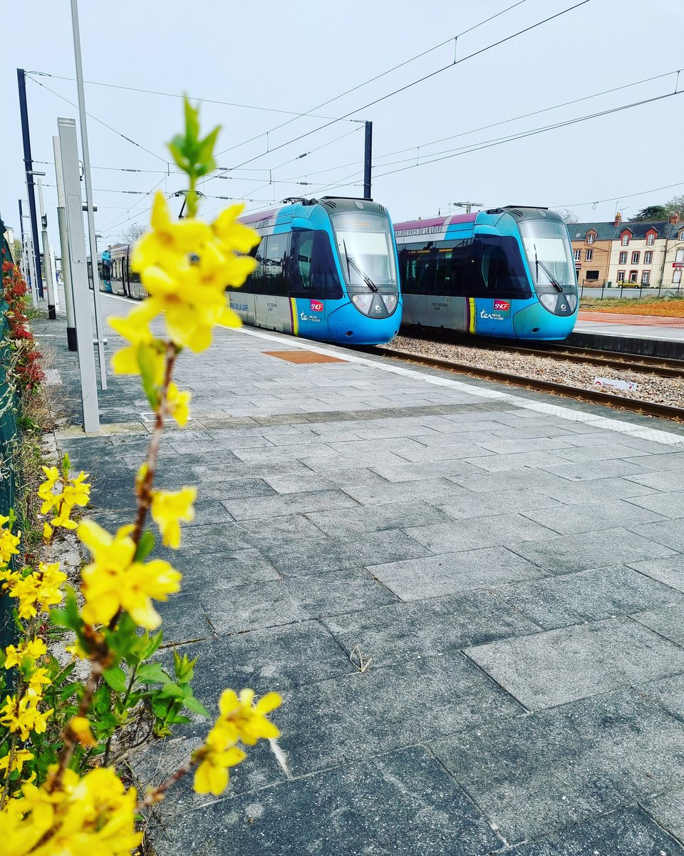 TER Pays de la Loire tweet media