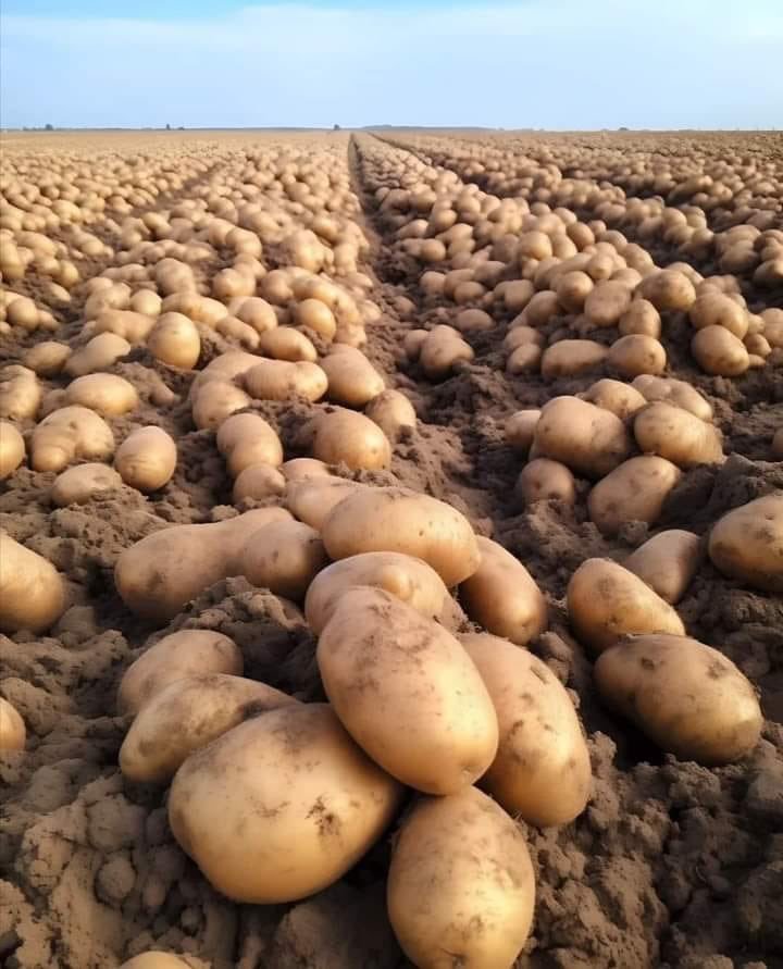 WorldlyHQ's tweet photo. Can you resign from your job to start farming? https://t.co/7kKjkIXyP2