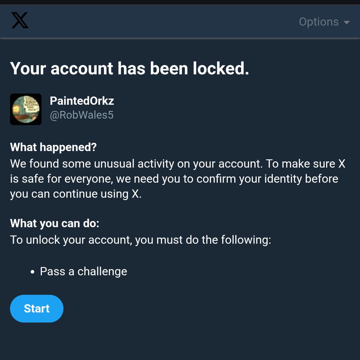 PaintedOrkz tweet media