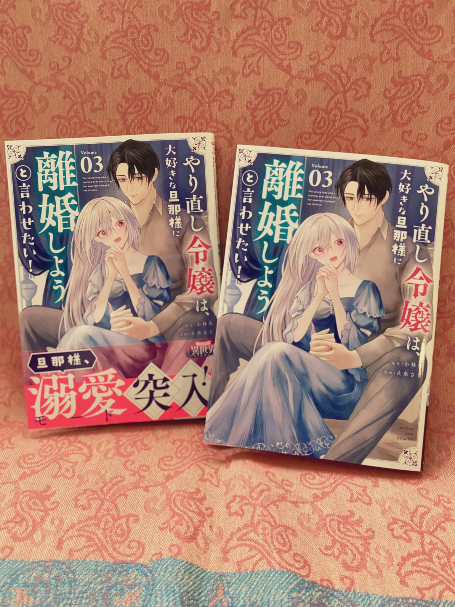 やり直し令嬢は、大好きな旦那様に離婚しようと言わせたい！【単